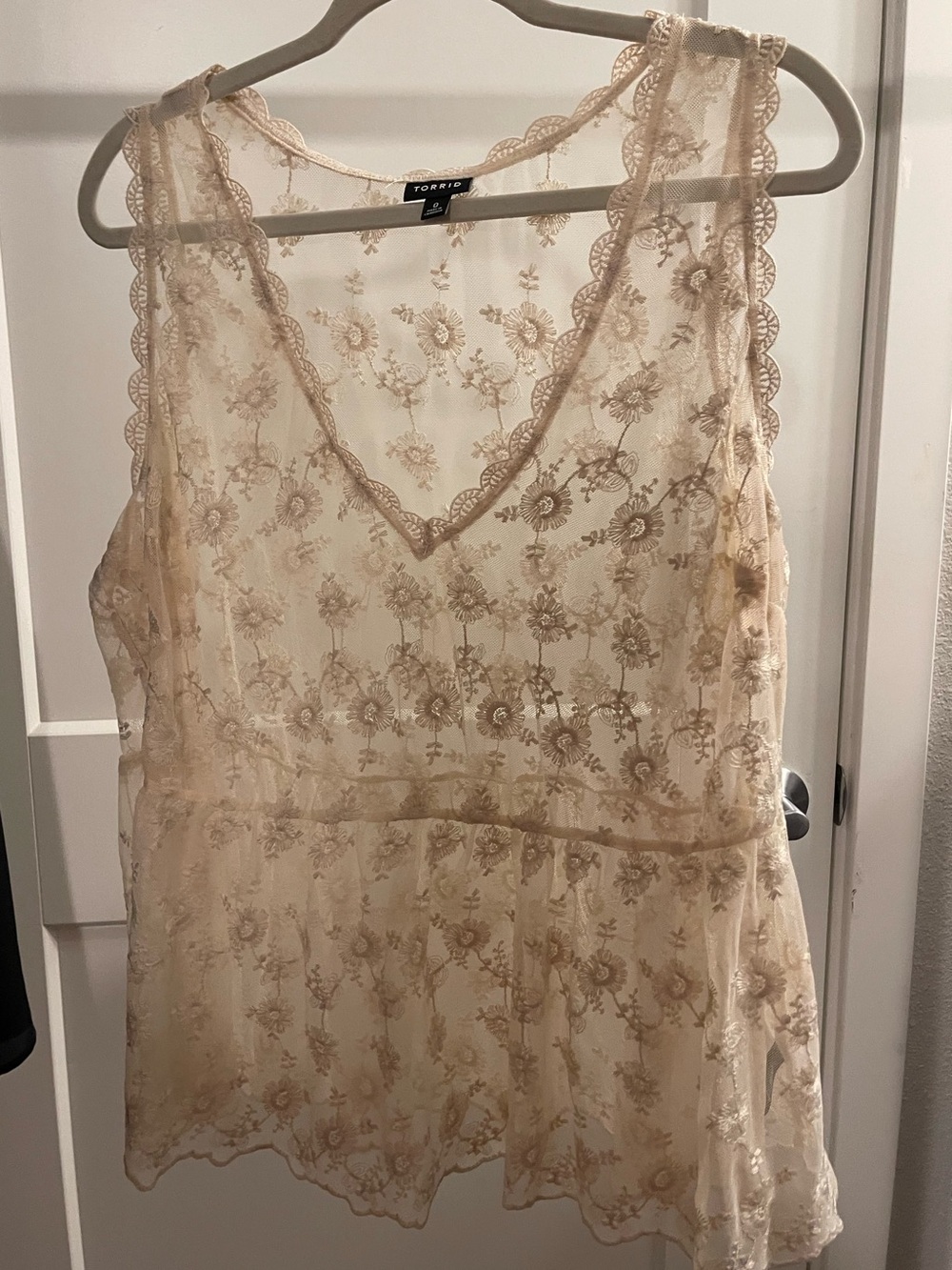 Torrid Festi Floral Embroidered Sheer Lace Babydoll Top Size 0 L